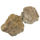 Banded Honey Onyx - Rough