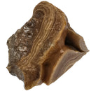 Banded Honey Onyx - Rough