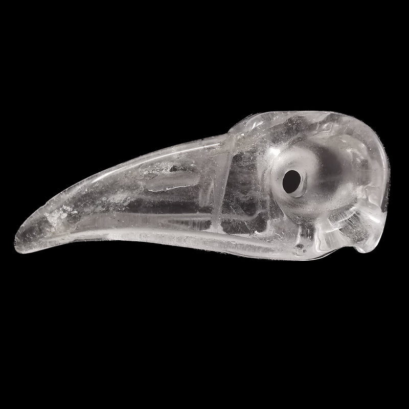 鳥頭骨 2.5" - 雕刻