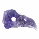 Fluorite Bird Skull (Large) - Carving