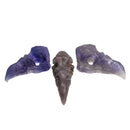 Fluorite Bird Skull (Large) - Carving