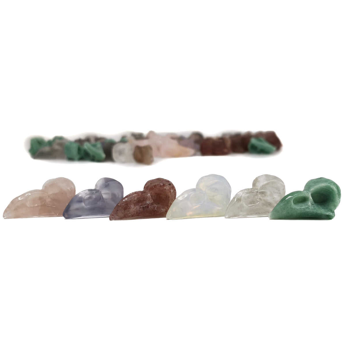Bird skull carving – row of assorted skulls