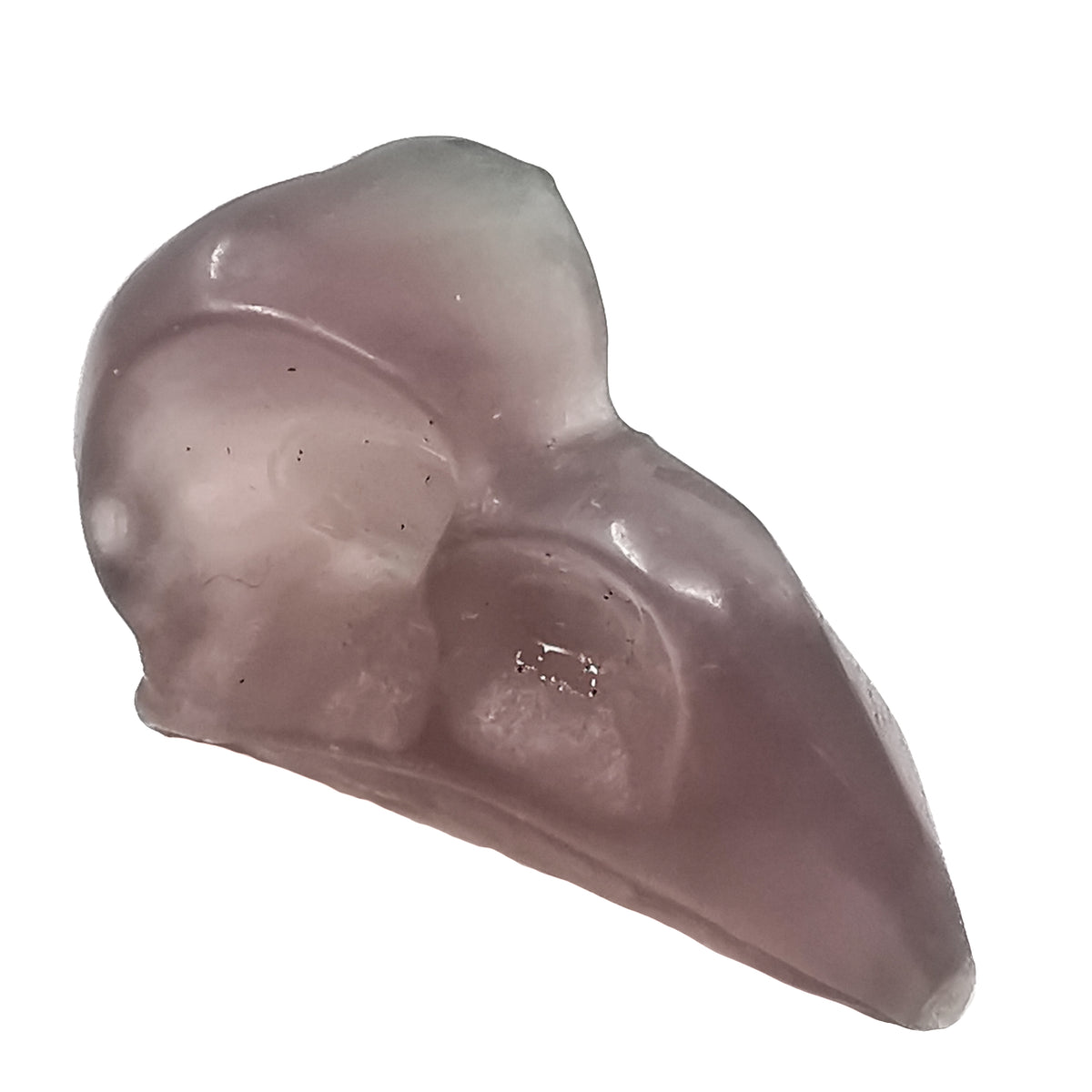 Bird skull carving – purple skull