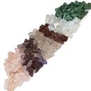 Bird Skull - Carving