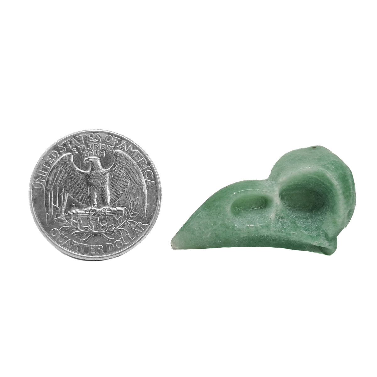 Bird skull carving – skull beside a coin for scale