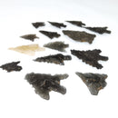 Bird Point (Authentic) - Arrowheads