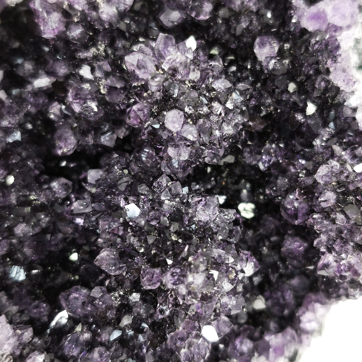 Black amethyst druzy from Uruguay – druzy, close up