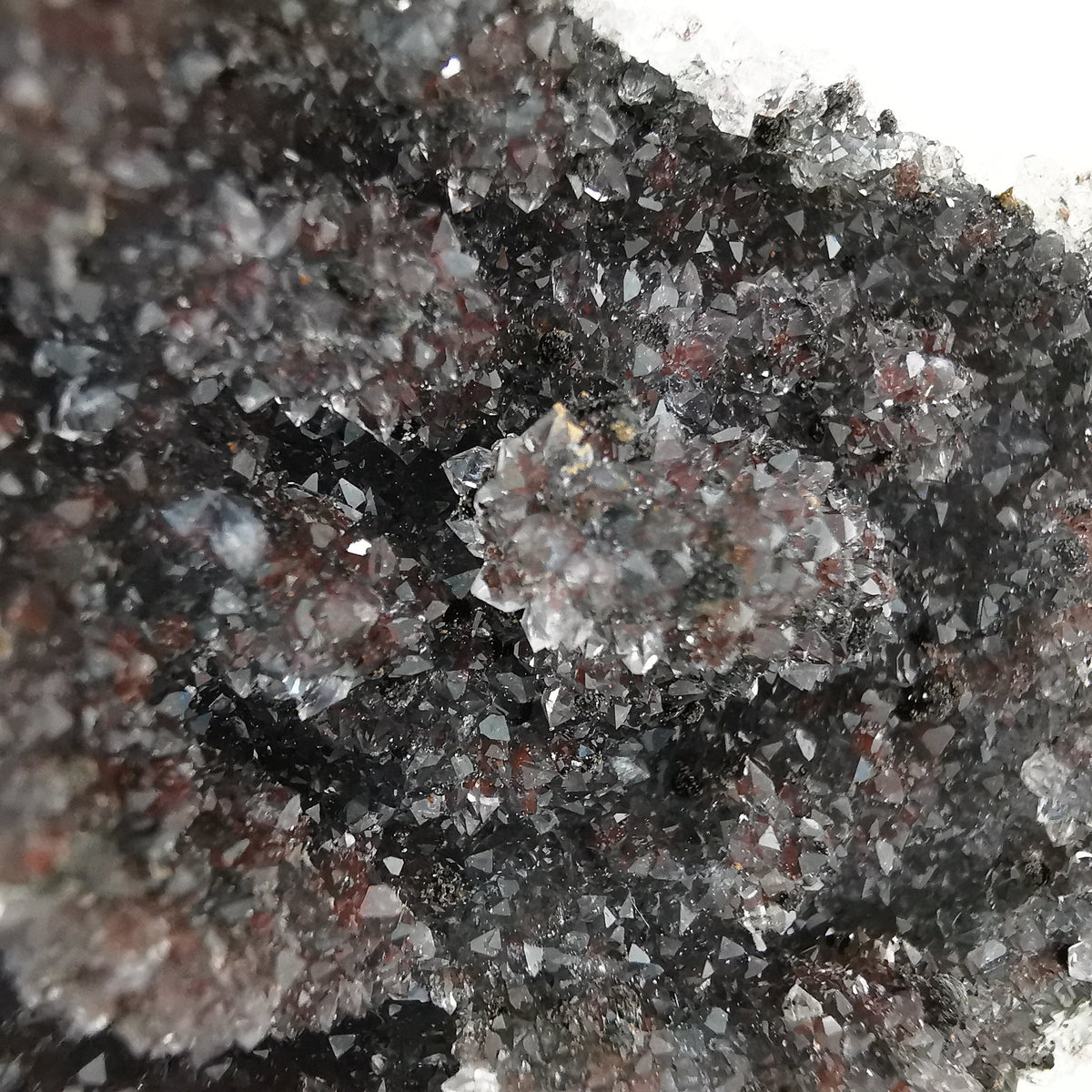 Black amethyst druzy from Uruguay – sparkling druzy