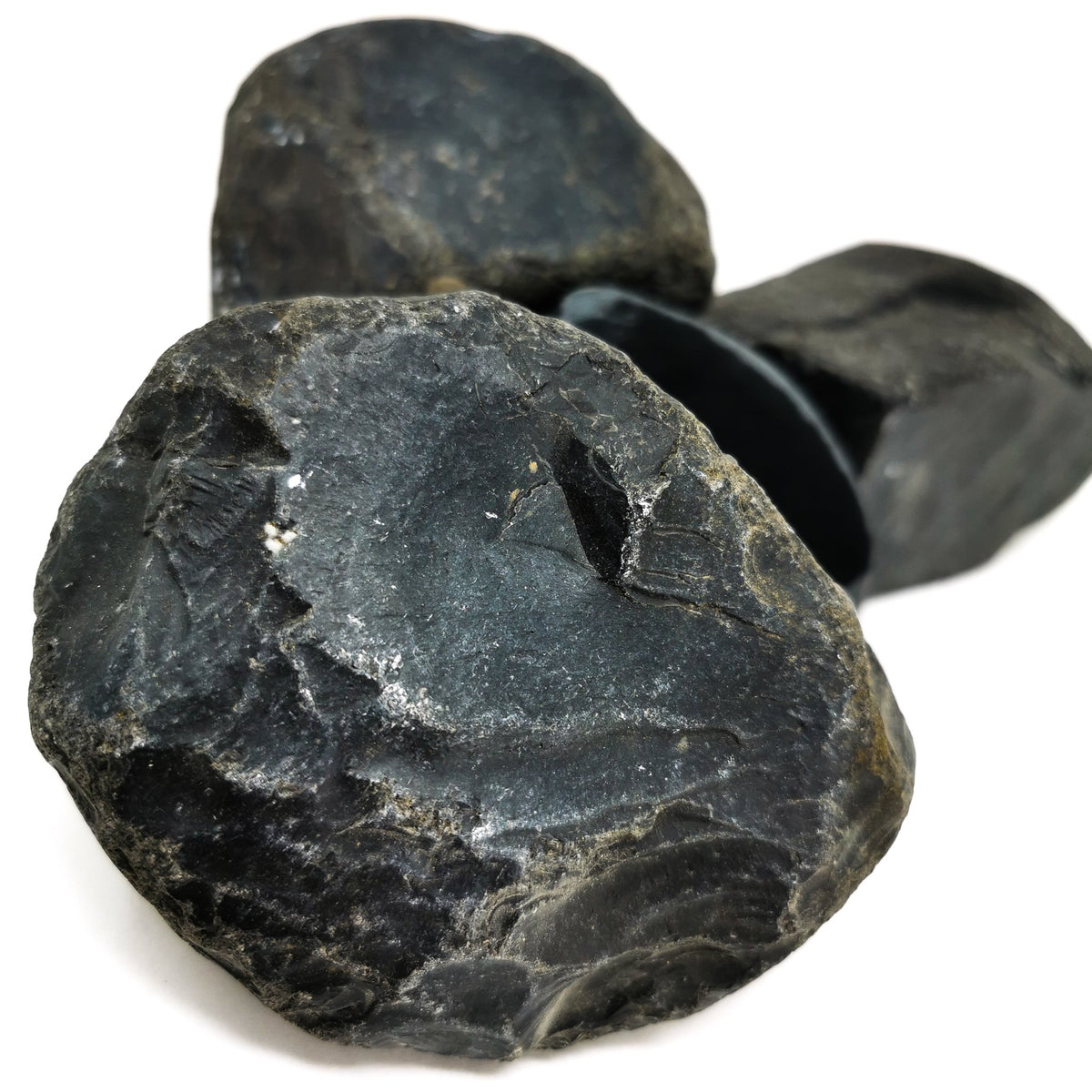 Black Basalt Backing rough from Fraser River, British Columbia, Canada.