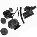 Royal Black Coral - Rough