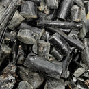 Royal Black Coral - Rough