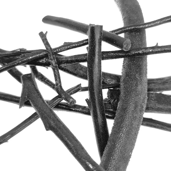 Royal Black Coral - Rough