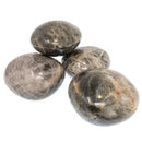 Black Moonstone - Palm Stone