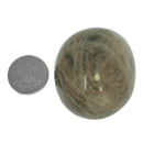 Black Moonstone - Palm Stone