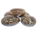 Black Moonstone - Palm Stone