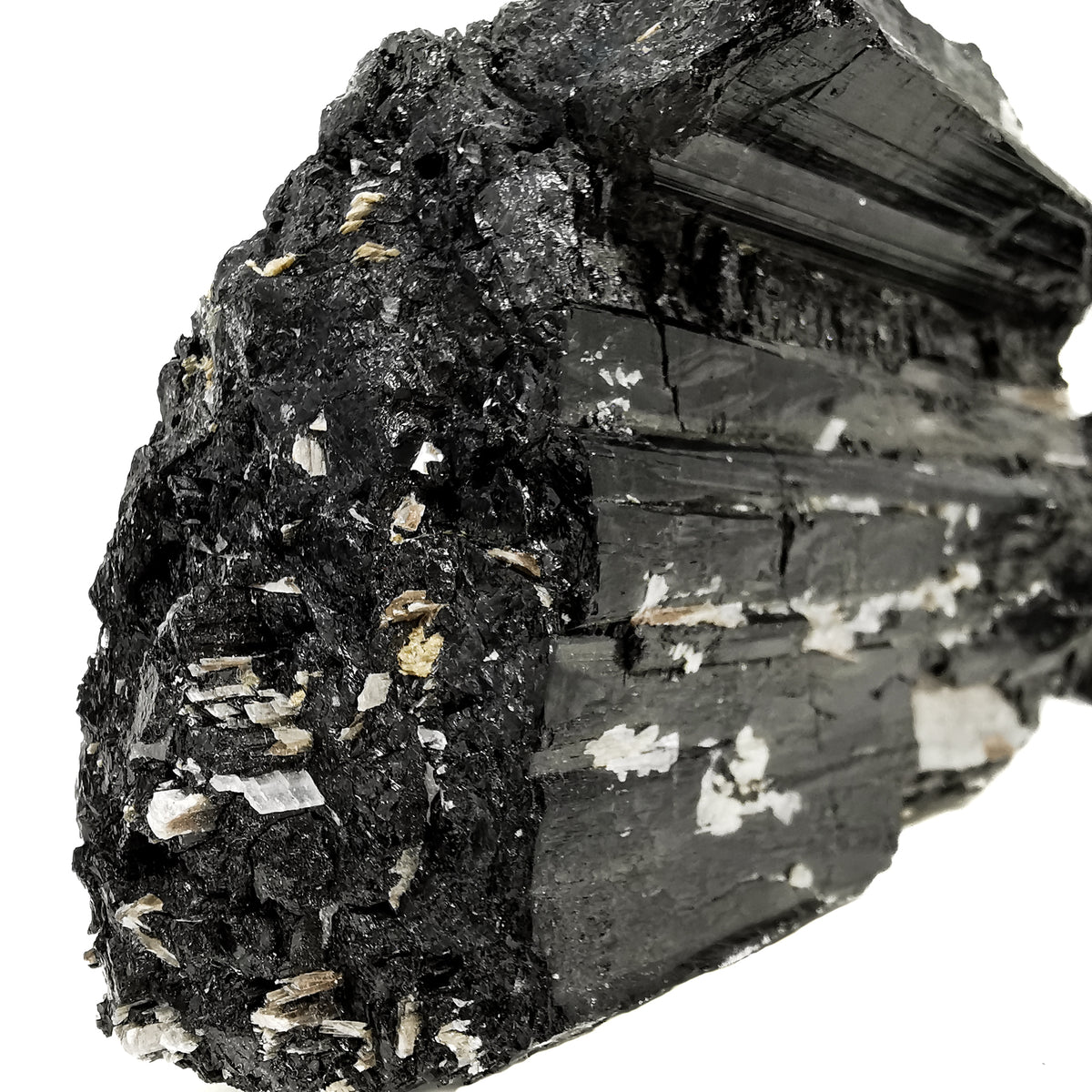 Black Tourmaline specimen, a tourmaline group mineral, from Brazil.