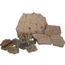 盲三叶虫 - 化石