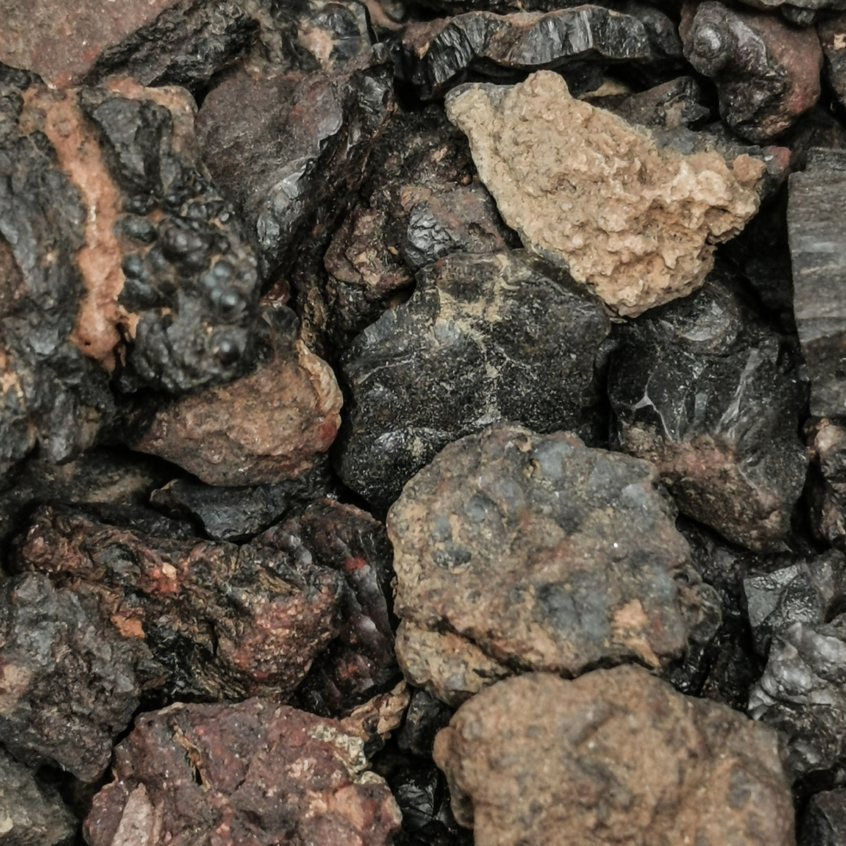 Botryoidal Hematite specimen, an iron oxide, from Bouse, Arizona, USA.