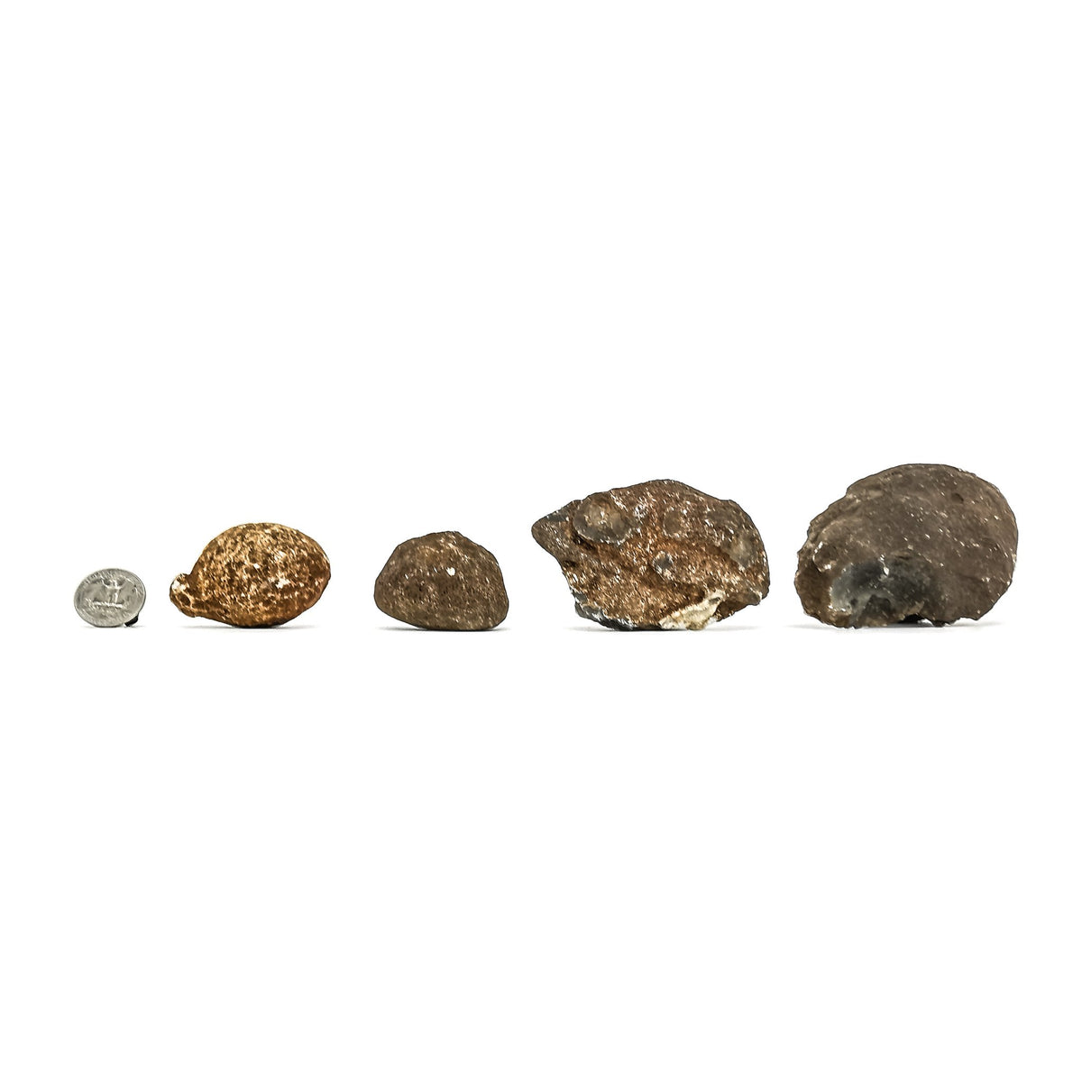 Botswana Agate Nodules rough, a variety of chalcedony.
