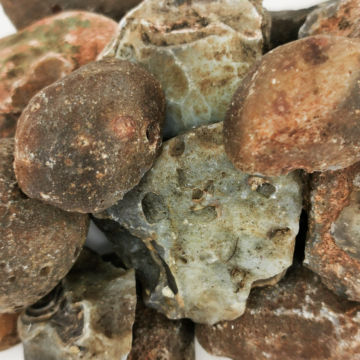 Botswana Agate Nodules rough, a variety of chalcedony.