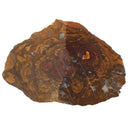 Boulder Opal - C Grade - Rough