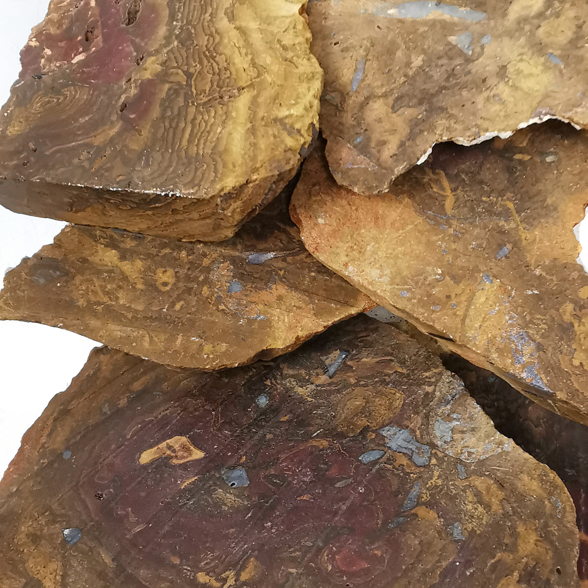 Boulder Opal C-grade rough, hydrated silica, from Australia.