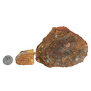 Boulder Opal - C Grade - Rough