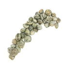 腕足动物 - 完整 - 化石