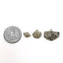 Neospirifer 腕足动物 - 化石