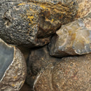 Brazilian Agate - Rough