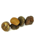 Brazilian Agate - Small - Rough