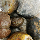 Brazilian Agate - Small - Rough