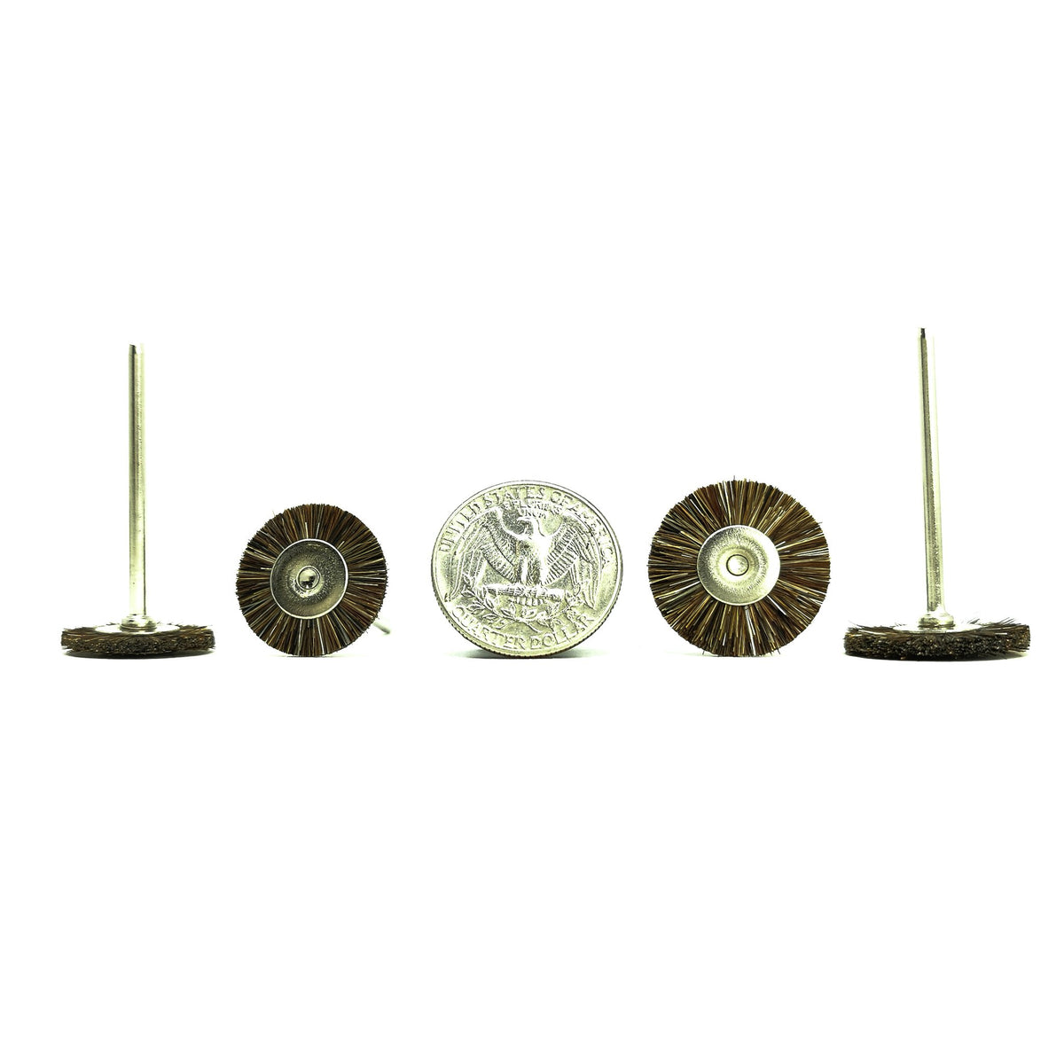Brown Bristle Wheel.