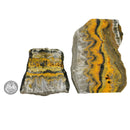 大黄蜂碧玉板 - 粗糙