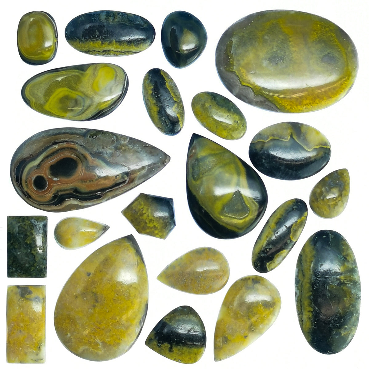 Bumblebee Jasper cabochon from Indonesia.
