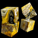 Bumblebee Jasper - Cube