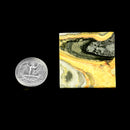 Bumblebee Jasper - Cube