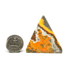 大黄蜂贾斯珀 - 金字塔