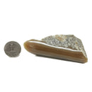 Honey Nephrite Jade - Polished Face