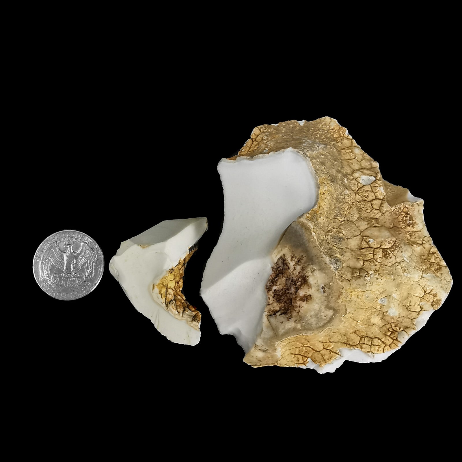 Kalmuck Cachalong (Kalmuck) Agate/Opal - Rough