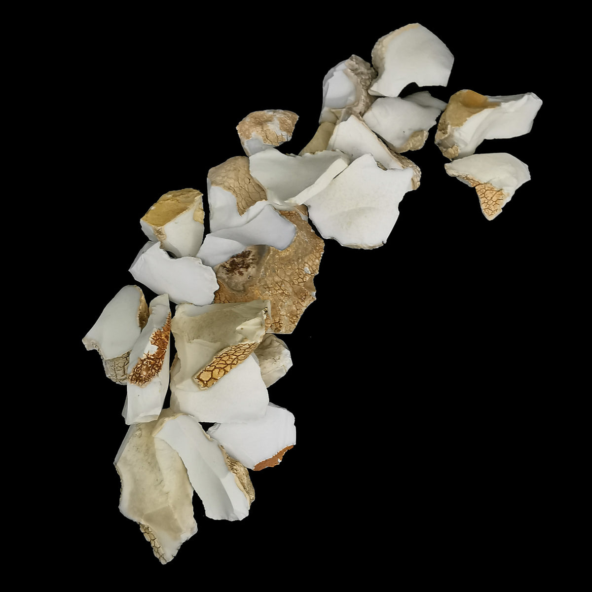 Cachalong (Kalmuck) Agate/Opal rough from Tanzania.