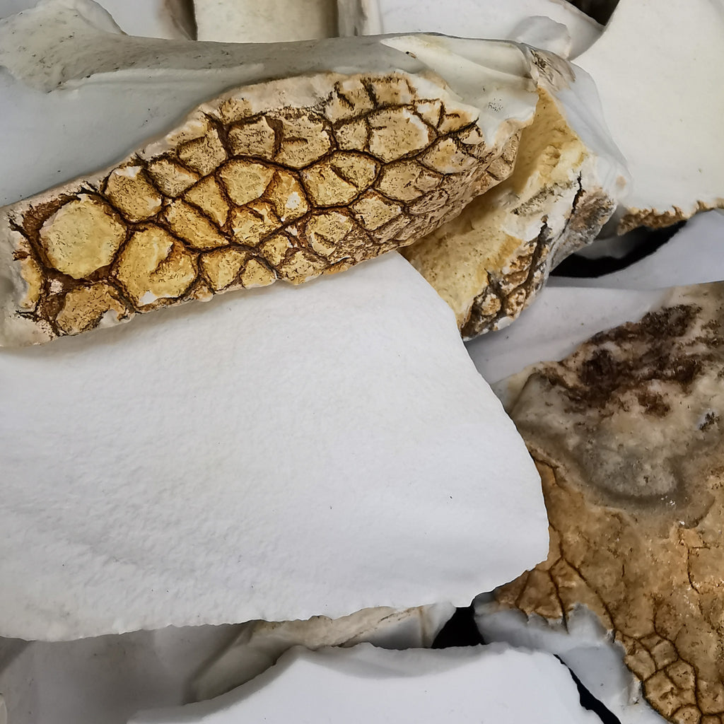 Kalmuck Cachalong (Kalmuck) Agate/Opal - Rough