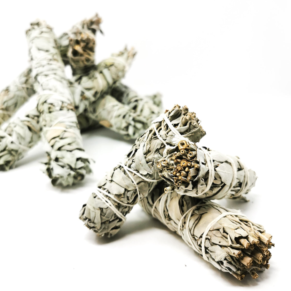 White sage smudge stick from California – pile of sticks