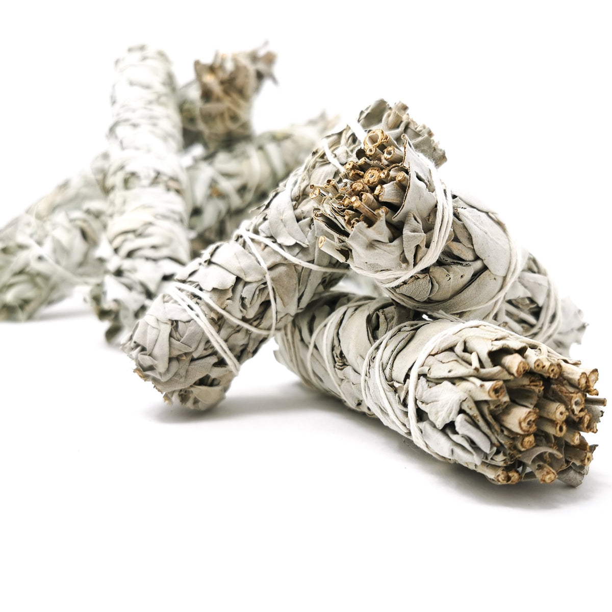 White sage smudge stick from California – pile, angled view