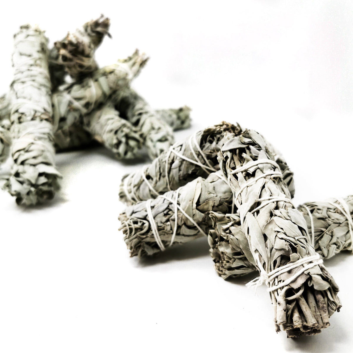 White sage smudge stick from California – group of large sticks