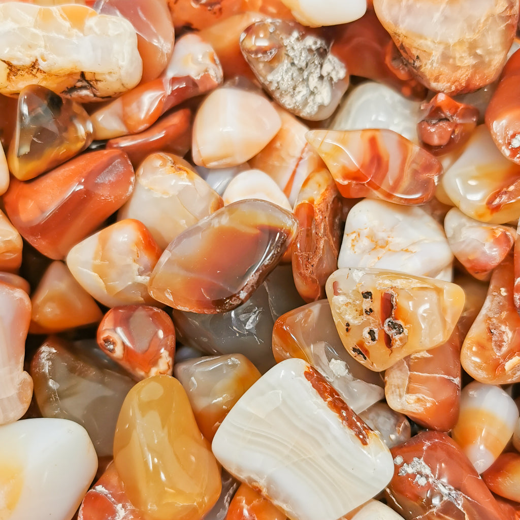 Carnelian B-grade tumble, a variety of chalcedony, from Ambato-Boeni District, Mahajanga Province, Madagascar.