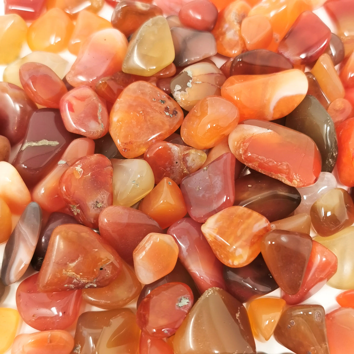 Carnelian A-grade tumble, a variety of chalcedony, from Ambato-Boeni District, Mahajanga Province, Madagascar.