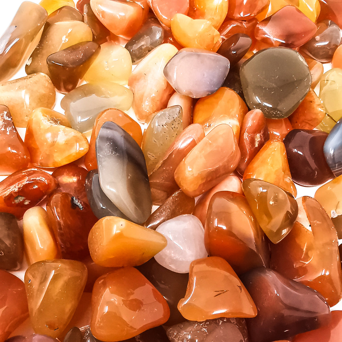 Carnelian A-grade tumble, a variety of chalcedony, from Ambato-Boeni District, Mahajanga Province, Madagascar.