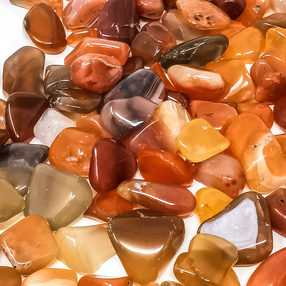 Carnelian A-grade tumble, a variety of chalcedony, from Ambato-Boeni District, Mahajanga Province, Madagascar.