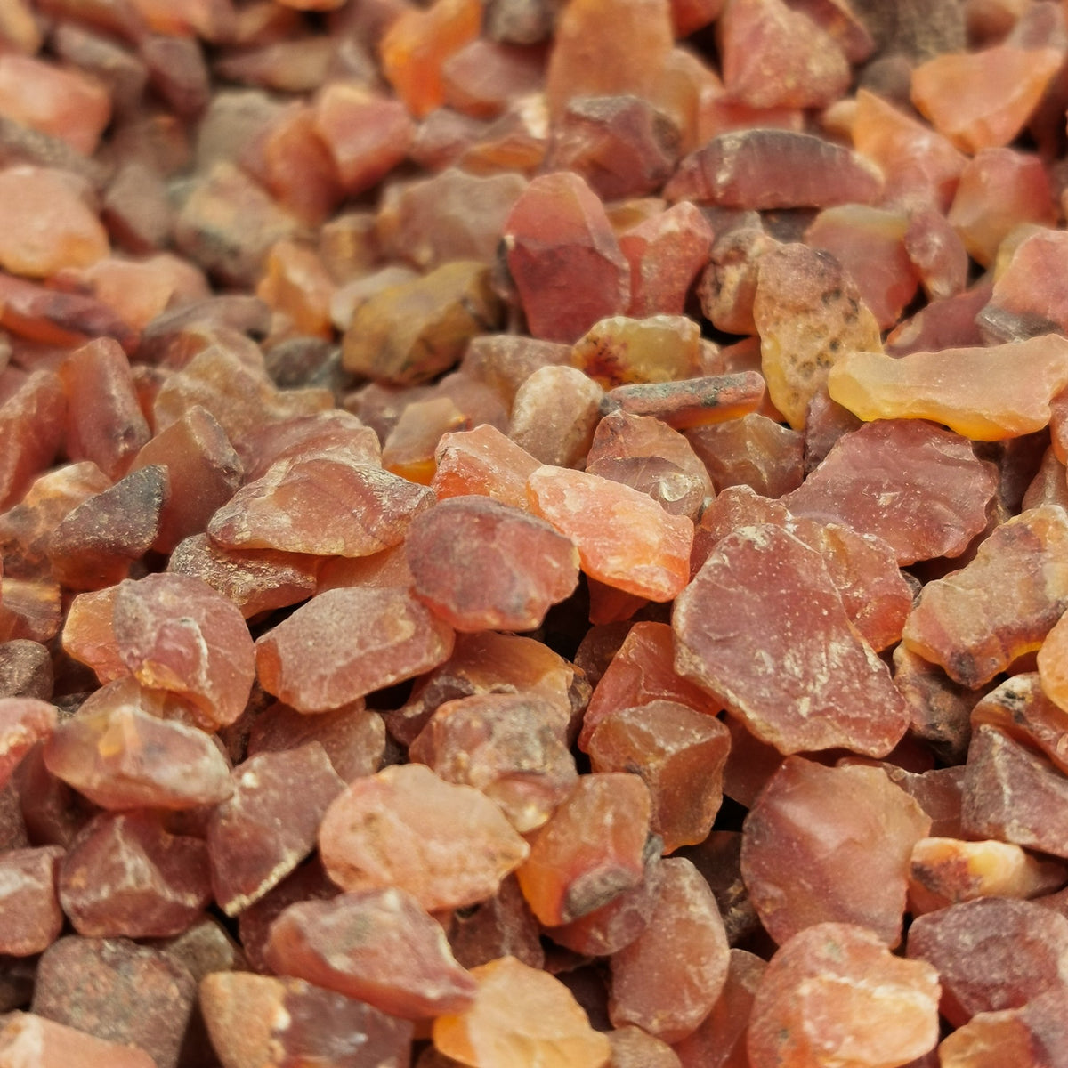 Carnelian chips rough, a variety of chalcedony.